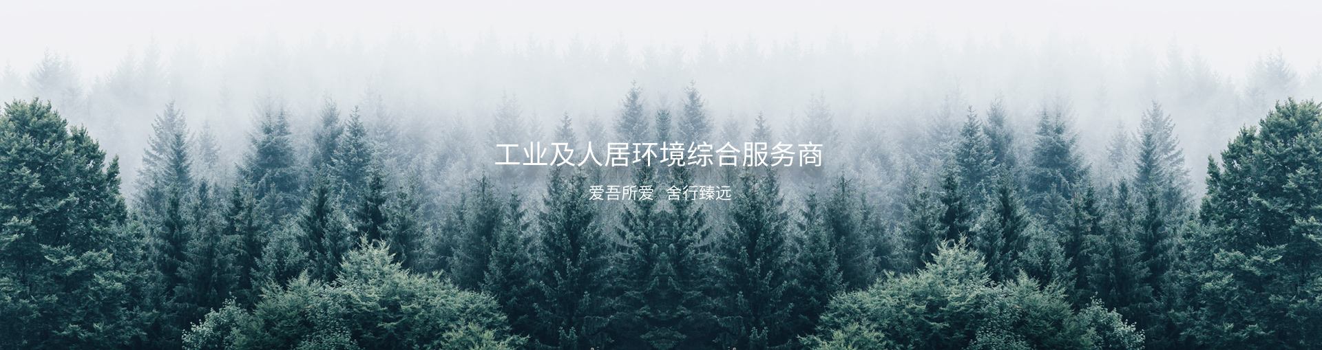 首页轮播图